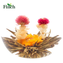 Finch vente chaude santé flore thé Tian Xian Pei avec fleur de jasmin
